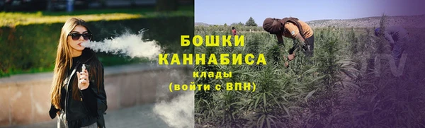 дживик Вяземский