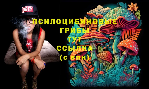 марихуана Володарск
