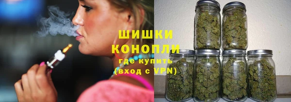 дживик Вяземский