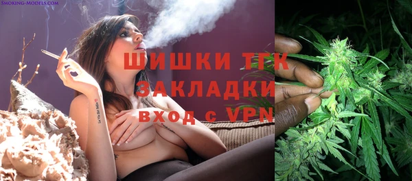 ПСИЛОЦИБИНОВЫЕ ГРИБЫ Вязьма
