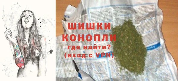 ПСИЛОЦИБИНОВЫЕ ГРИБЫ Вязьма