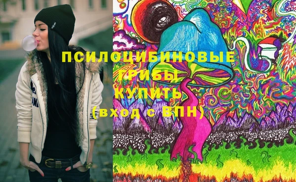 ПСИЛОЦИБИНОВЫЕ ГРИБЫ Вязьма